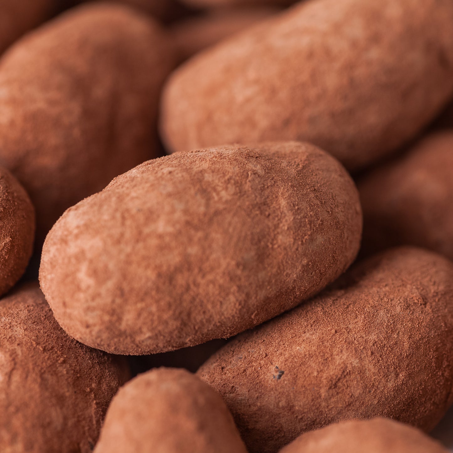 Hill St. Chocolate Brazil Nuts