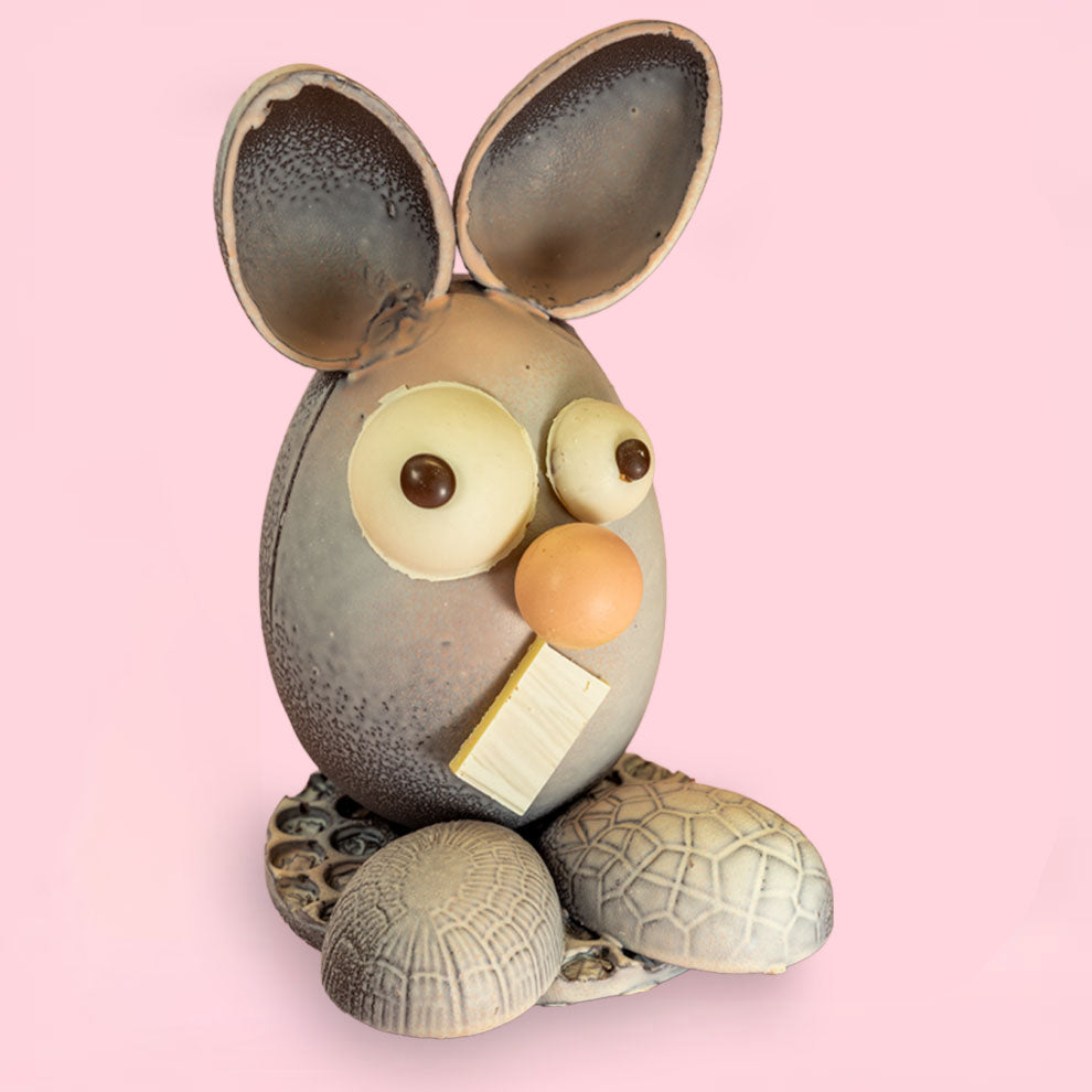 Hill St. Chocolate Bunny (Collection from store only)