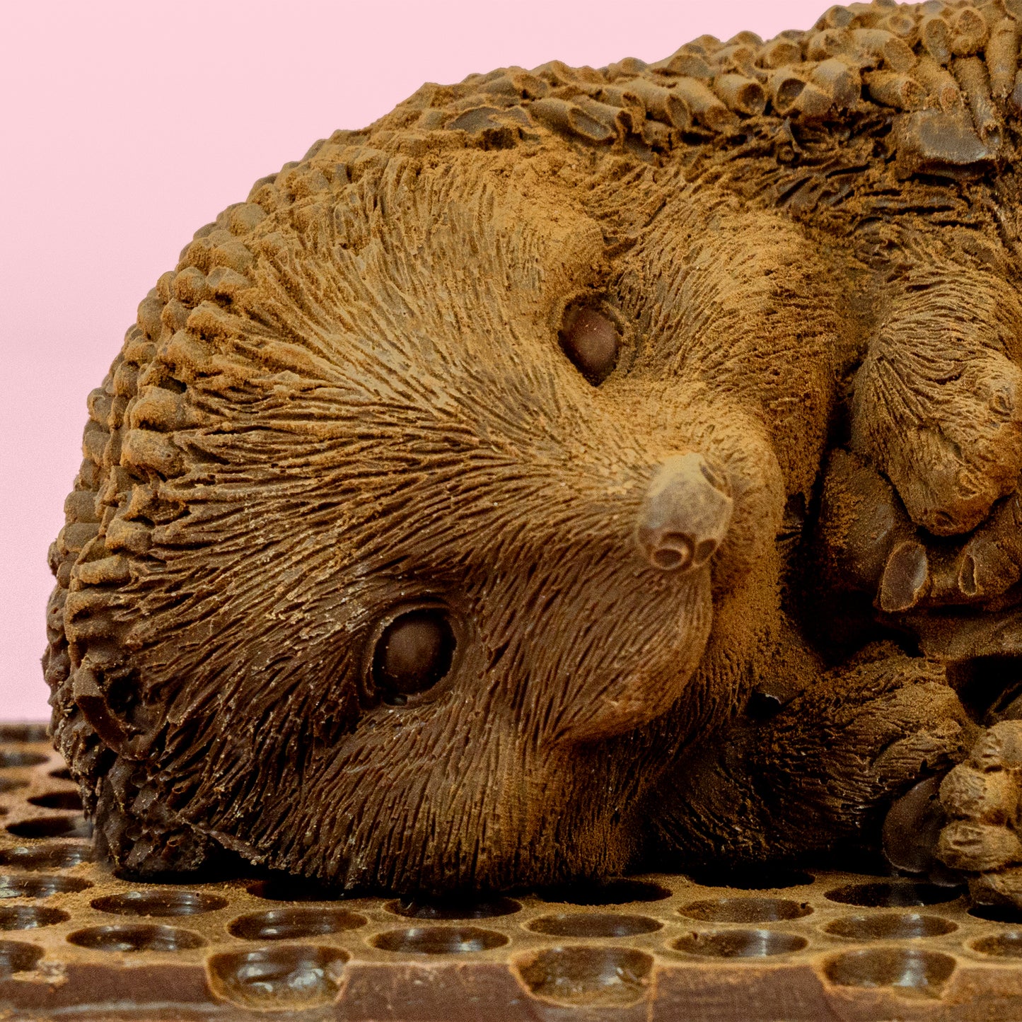 Hill St. Chocolate Sleeping Hedgehog  (Collection only)